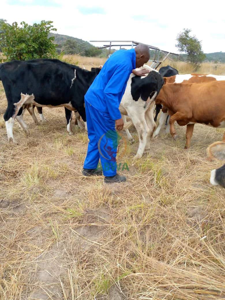 abwa dairy 5
